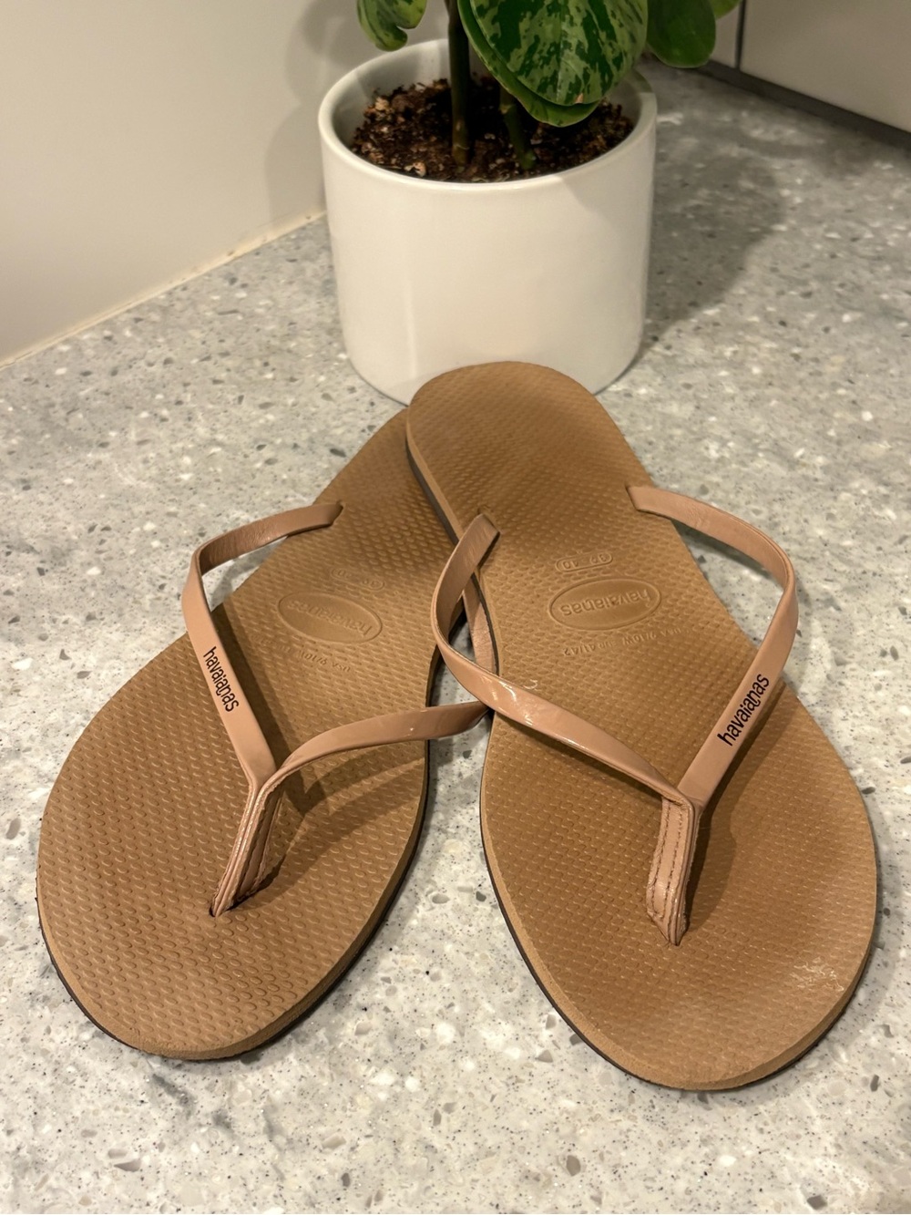 Havaianas Women's Flip Flops in Tan